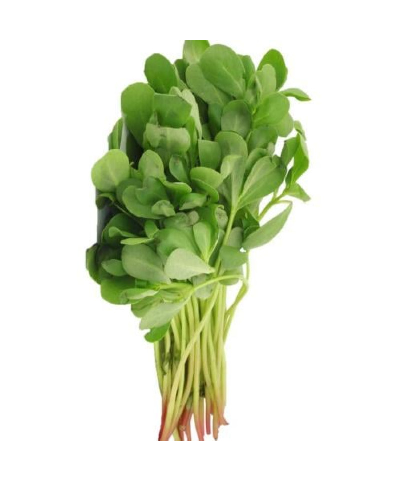 رجلة