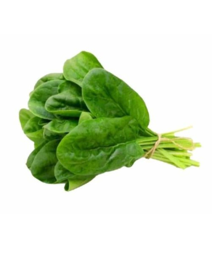 سبانخ