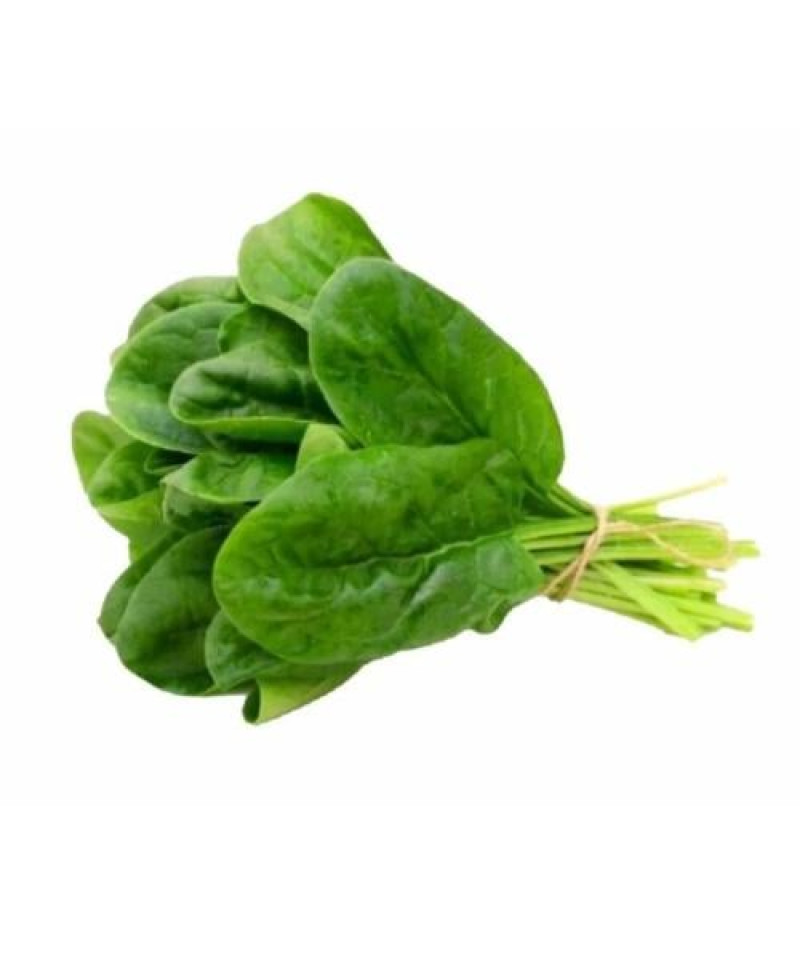 سبانخ