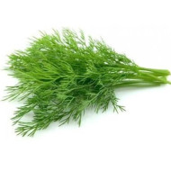 شبت