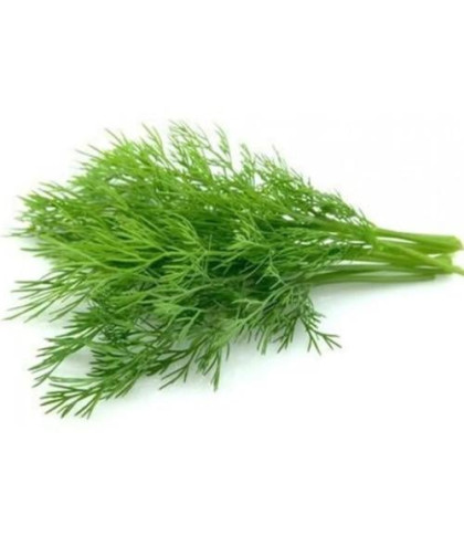 شبت