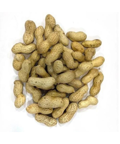 فول سوداني بالقشر