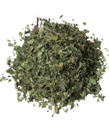 عشبة المورينجا