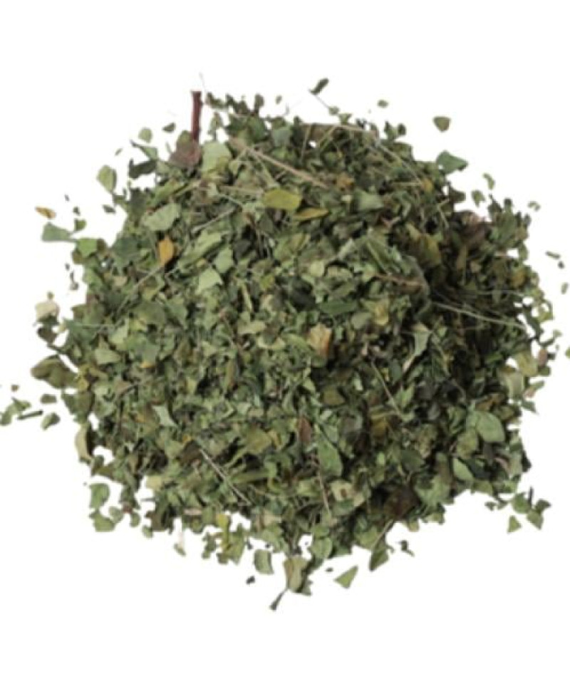 عشبة المورينجا