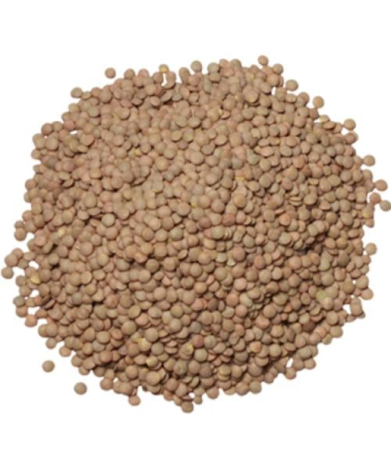 عدس اخضر
