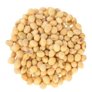 ترمس حلو