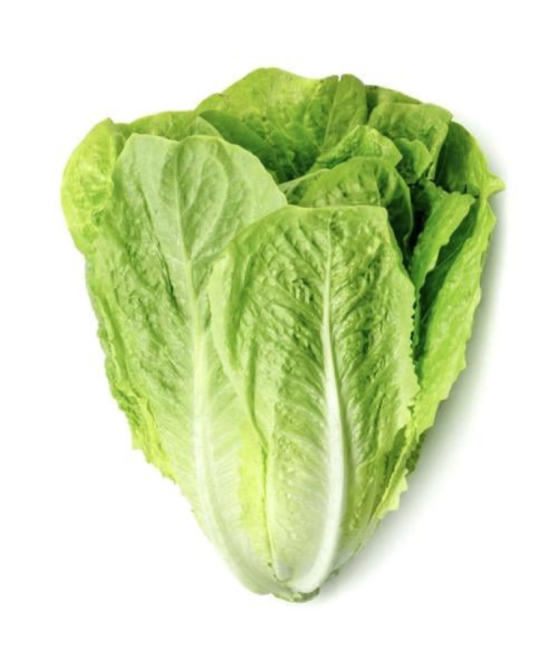 خس