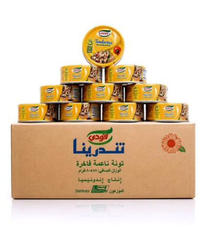 تونة قودي تندرينا 80ج حبة48
