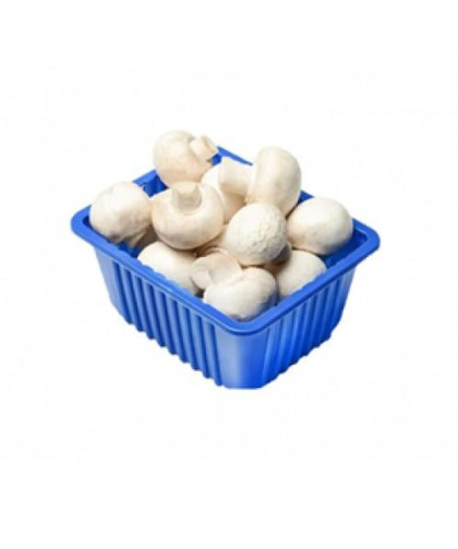 علبة فطر ابيض