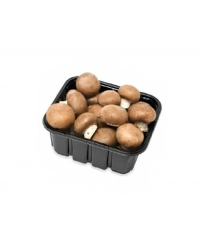 علبة فطر بني
