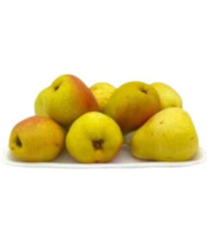 صحن كمثرى وسط